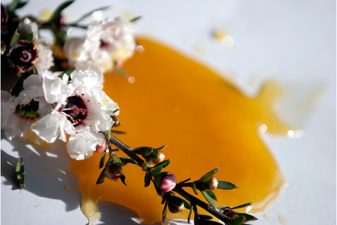 More Than Just Honey: Different Products You Can Make as a Beekeeper