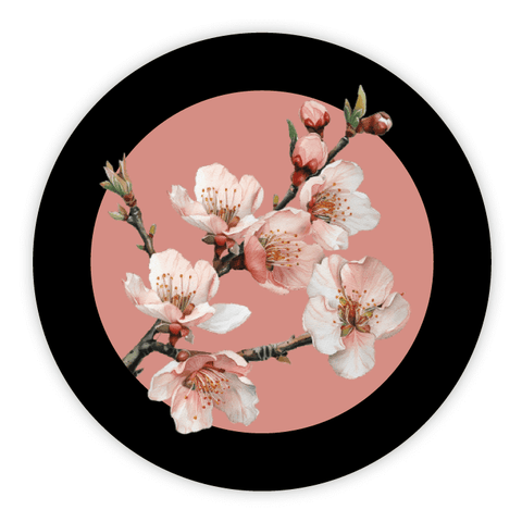 Elegant Elena - Round Lid Label 16oz Classic Queenline Jar
