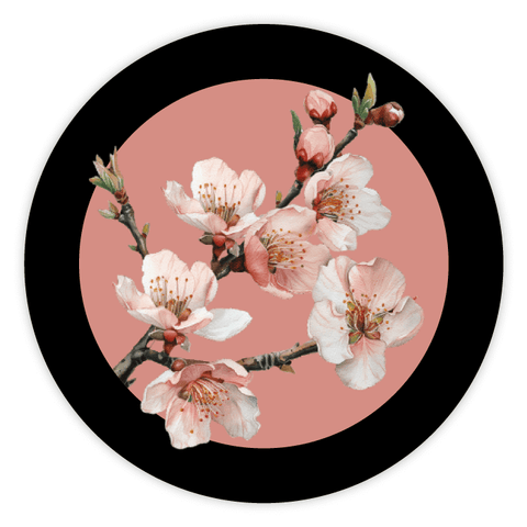 Elegant Elena - Round Lid Label 32oz Classic Queenline Jar