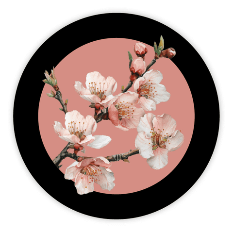 Elegant Elena - Round Lid Label 4oz Round Jar