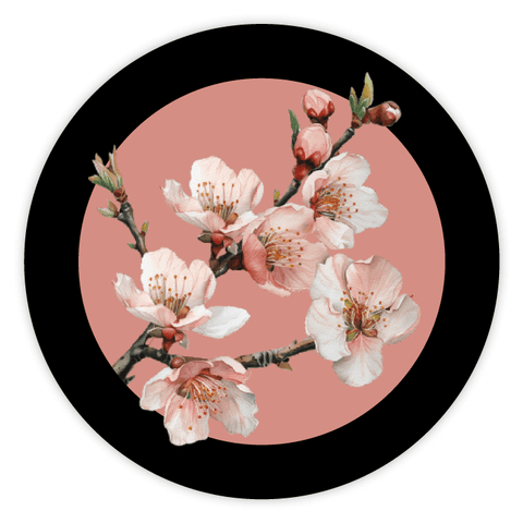 Elegant Elena - Round Lid Label 18oz Round Jar