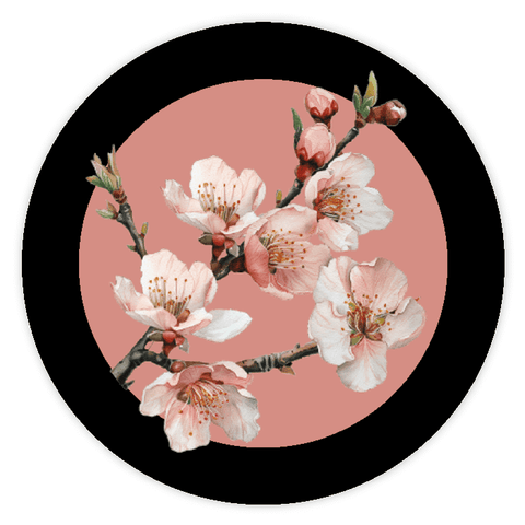 Elegant Elena - Round Lid Label 30oz Round Jar